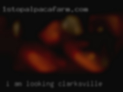 I am looking Clarksville for honest person.