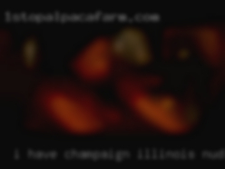 I have Champaign, Illinois nude a very romantic heart.
