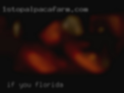 If you want Florida to know more page me.