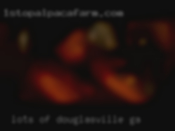 Lots of kissing in Douglasville, GA is-negotiable.