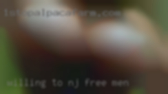 Willing to try anything NJ free men for pleasure.
